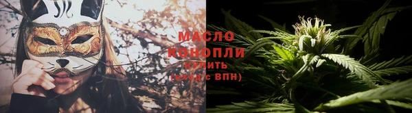 винт Инта