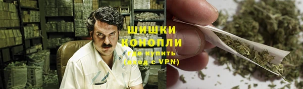 винт Инта