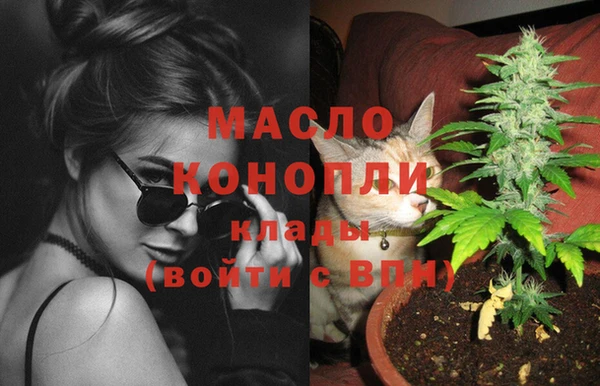 винт Инта